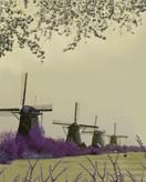 Mills in Holland
