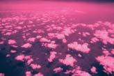 Pink clouds