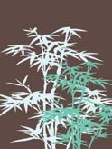 Bamboo