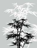 Bamboo