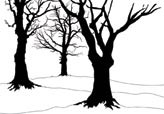 Trees 