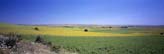 Thracia (panoramic), Turkey