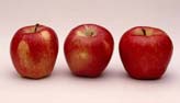 Apples