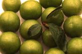 Green Plums
