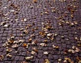 Berlin Sidewalk