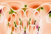 Abstract