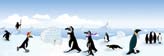 Emperor Penguins