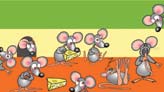 Mice