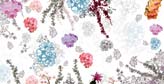 Flowers and Ivies