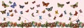 Butterflies Border