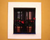 Window