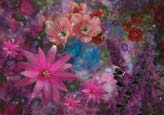 Collage of Flowers