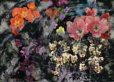 Collage of Flowers